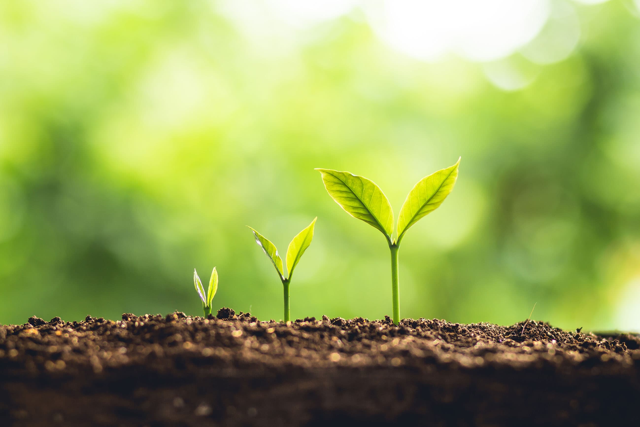 The Complete Guide to Sustainable Healthcare